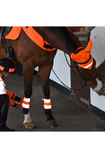 2022 Equisafety Mercury Reflective Horse Boots MLB - Red / Orange